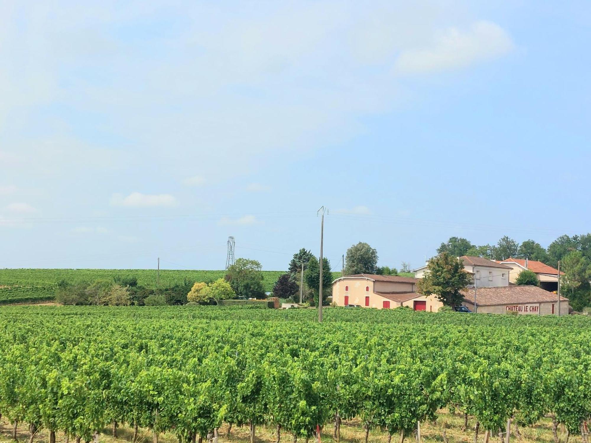 Duplex Cocoon - 10 Min De Blaye - 20 Min Cnpe - Wifi - Tv Hd Διαμέρισμα Saint-Seurin-de-Cursac Εξωτερικό φωτογραφία